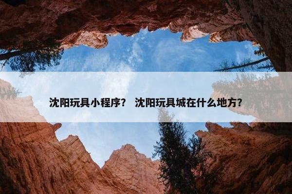 沈阳玩具小程序？ 沈阳玩具城在什么地方？