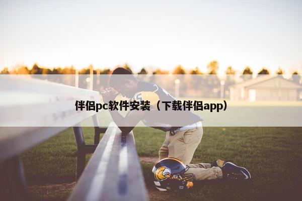 伴侣pc软件安装（下载伴侣app）