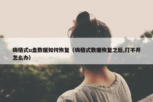 嗨格式u盘数据如何恢复（嗨格式数据恢复之后,打不开怎么办）