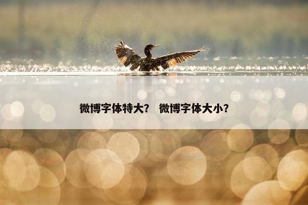 微博字体特大？ 微博字体大小？