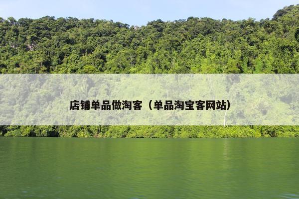 店铺单品做淘客（单品淘宝客网站）