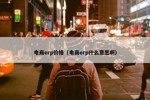 电商erp价格（电商erp什么意思啊）