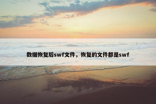 数据恢复后swf文件，恢复的文件都是swf
