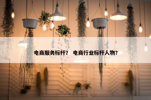 电商服务标杆? 电商行业标杆人物? 电商服务标杆? 电商行业标杆人物?
