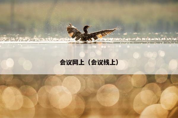 会议网上(会议线上) 会议网上(会议线上)