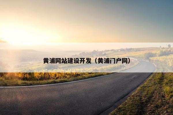 黄浦网站建设开发（黄浦门户网）