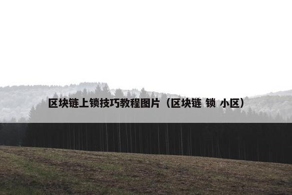 区块链上锁技巧教程图片（区块链 锁 小区）