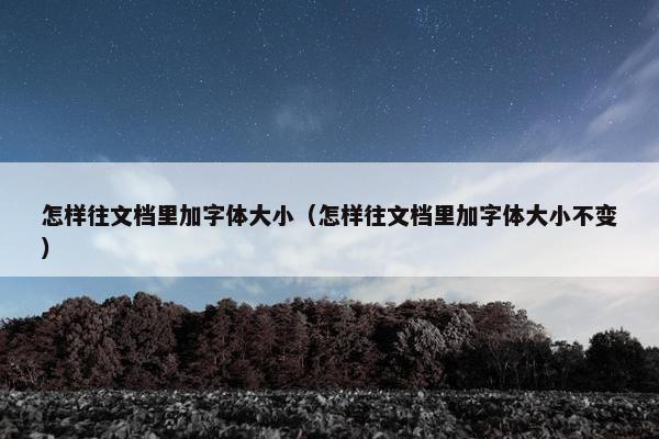 怎样往文档里加字体大小（怎样往文档里加字体大小不变）