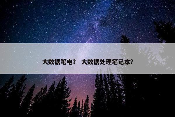 大数据笔电？ 大数据处理笔记本？