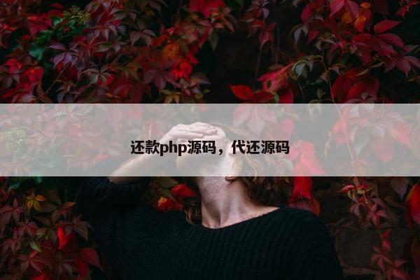 还款php源码，代还源码