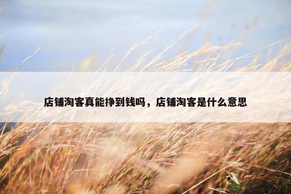 店铺淘客真能挣到钱吗，店铺淘客是什么意思