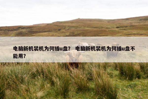 电脑新机装机为何插u盘？ 电脑新机装机为何插u盘不能用？