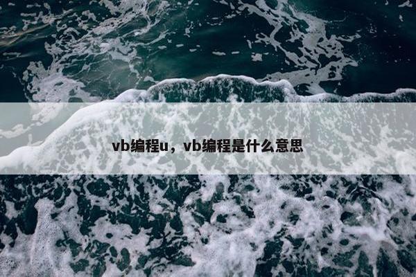 vb编程u，vb编程是什么意思