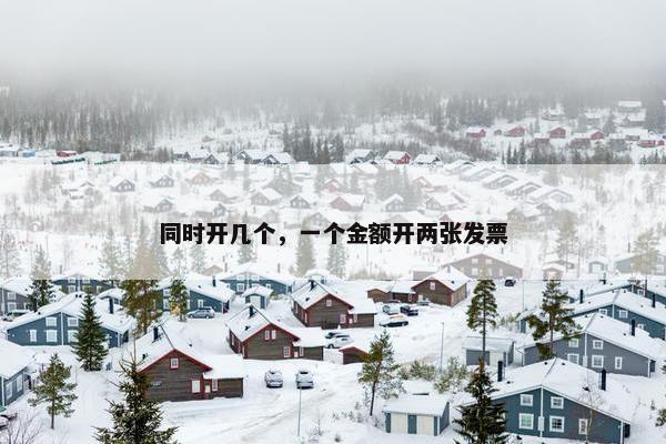 同时开几个,一个金额开两张发票 同时开几个,一个金额开两张发票