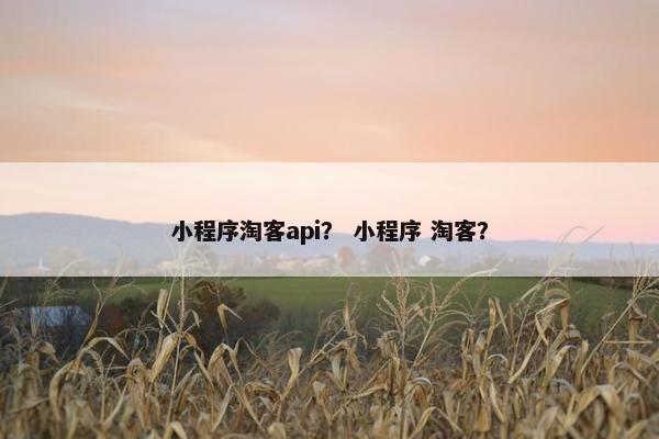 小程序淘客api？ 小程序 淘客？