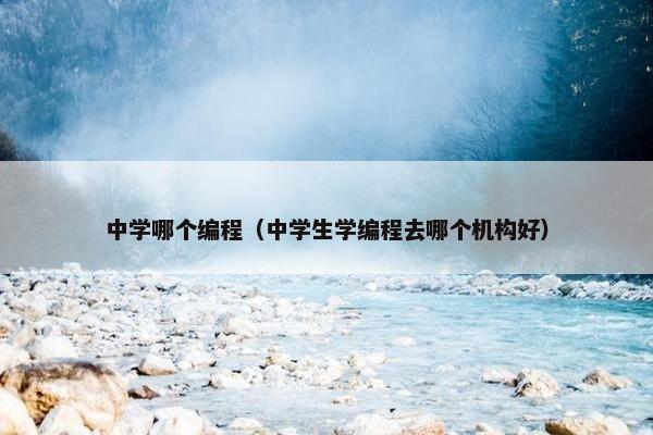 中学哪个编程(中学生学编程去哪个机构好) 中学哪个编程(中学生学编程去哪个机构好)