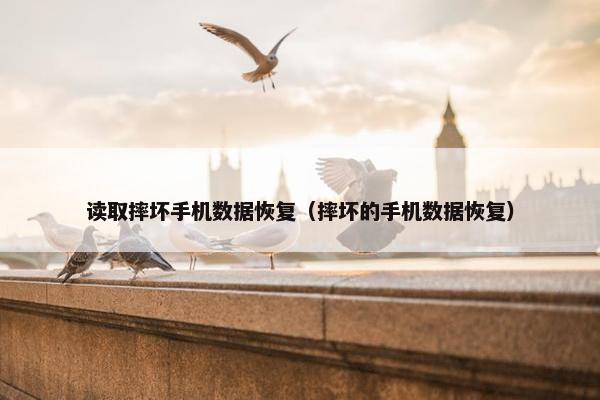 读取摔坏手机数据恢复（摔坏的手机数据恢复）