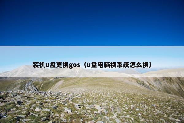 装机u盘更换gos（u盘电脑换系统怎么换）