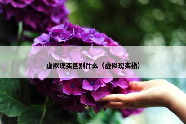 虚拟现实区别什么（虚拟现实指）