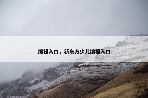 编程入口，新东方少儿编程入口