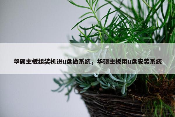 华硕主板组装机进u盘做系统，华硕主板用u盘安装系统